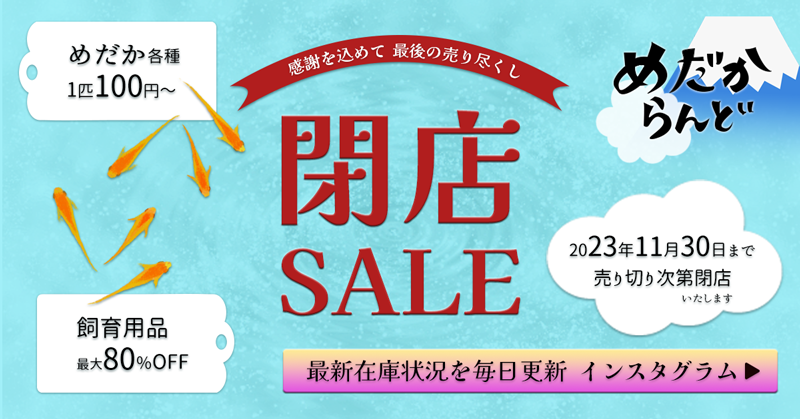 めだからんど（仮想）バナーデザイン