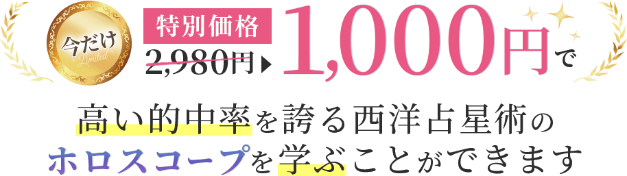 今だけ特別価格1000円